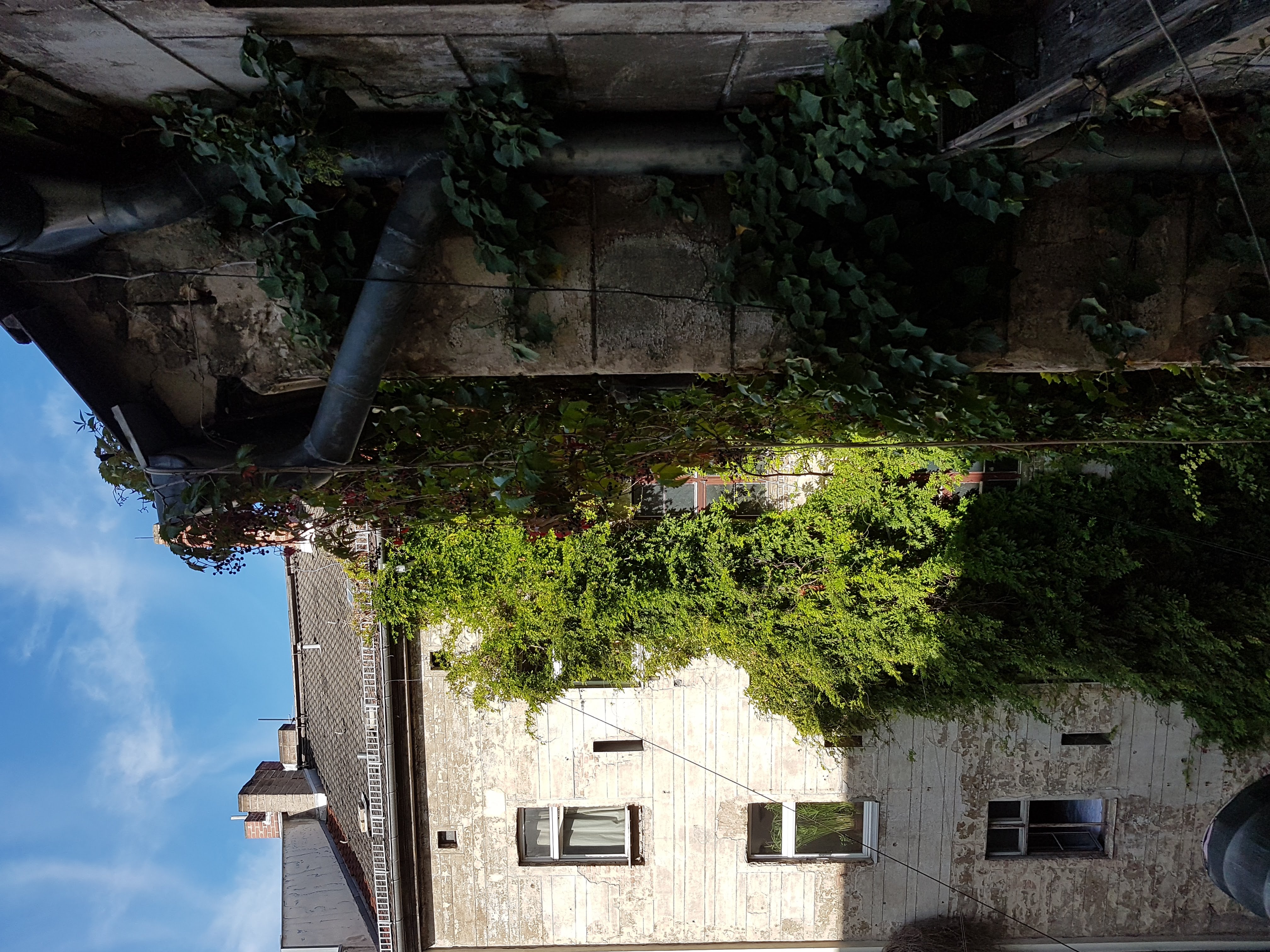 Blick aus Stfl. 4 OG